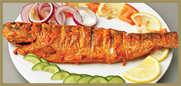 Gulnar Jal Pari
